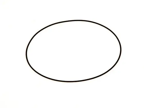 Schwarzer O-Ring auf weißem Hintergrund, geeignet für Dichtungsanwendungen, von der Marke Bosch, in ovaler Form dargestellt.